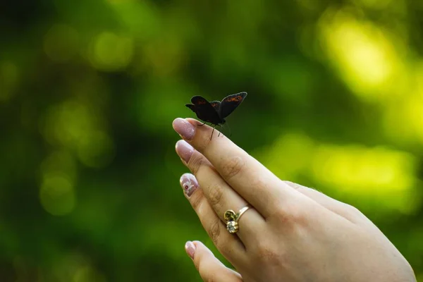 Крупный План Бабочки Пальце Женской Руки — стоковое фото