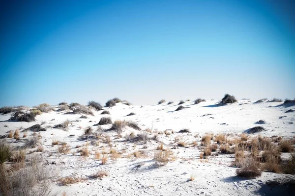 Les Sables Blancs Nouveau Mexique — Photo