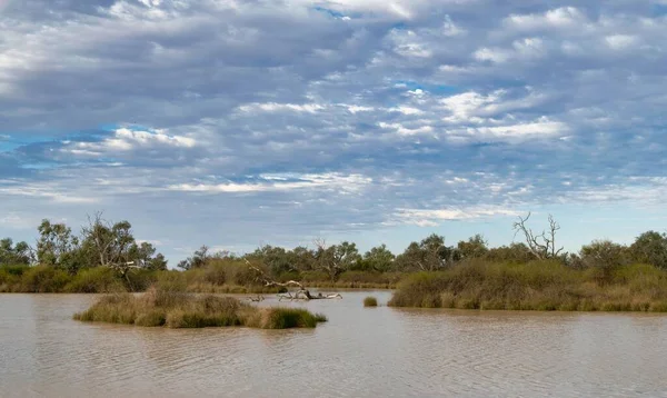 Ett Landskap Med Lugn Sjö Dagtid Centrala Australien — Stockfoto