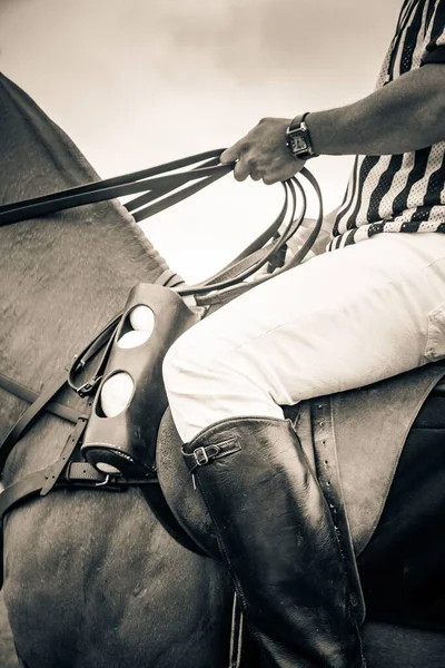 Windsor Daki Guards Polo Sahasında Polo Hakemi Dikey Çekimi — Stok fotoğraf