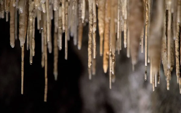 Foco Raso Formações Caverna Palha Soda Com Gotas Água Penduradas — Fotografia de Stock