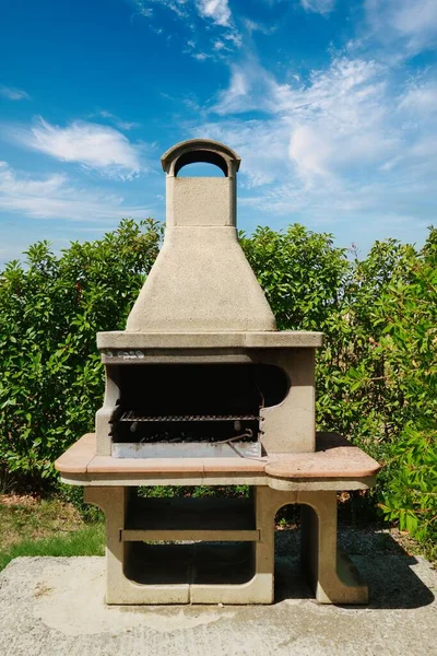 Eine Vertikale Aufnahme Von Gartengrill Hintergrund Wachsender Sträucher — Stockfoto