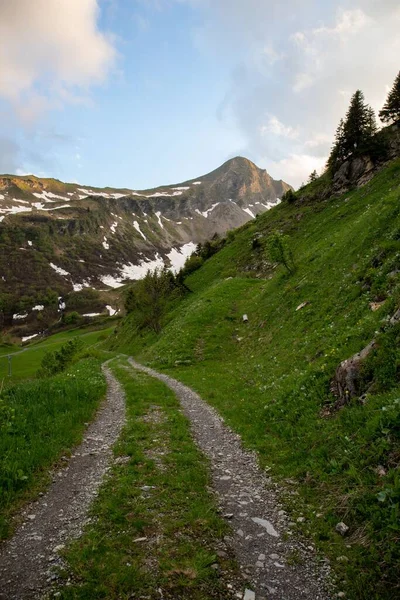 Vadideki Dağların Yeşil Yamaçlarından Geçen Bir Yolun Dikey Görüntüsü — Stok fotoğraf
