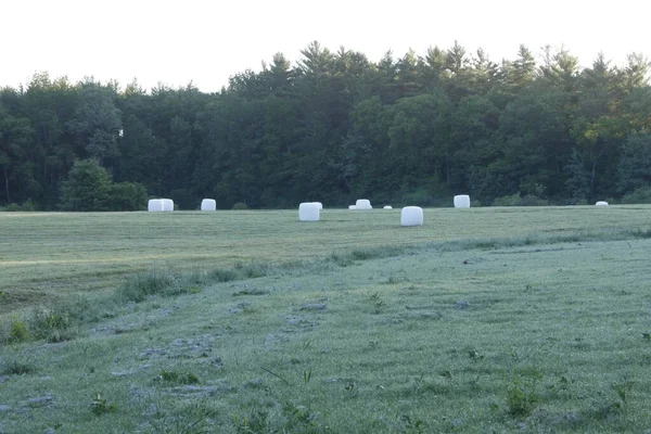 Scenic View Hay Bales Green Field New Hampshire — Stock Photo, Image