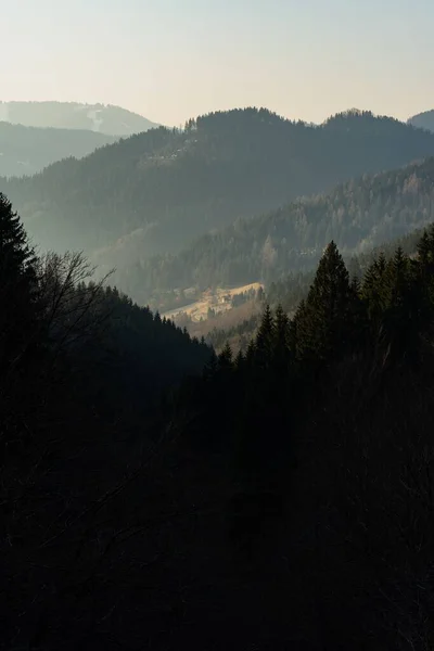 Vertikální Záběr Krásné Krajiny Zalesněnými Horami — Stock fotografie