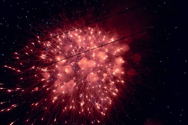 Výstava Jasně Růžového Ohňostroje Noční Obloze — Stock fotografie