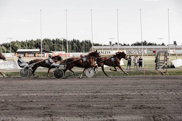 Corridas Arnês Oulu Finlândia Desportos Equestres — Fotografia de Stock