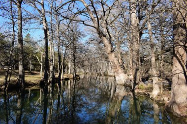 Parkta ağaçlarla çevrili sakin bir nehrin güzel manzarası.