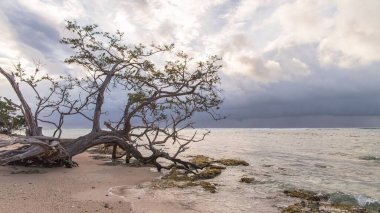 Guadeloupe, Marie-Galante Island, denizde günbatımı pembe bir kum plajı güzel Panoraması