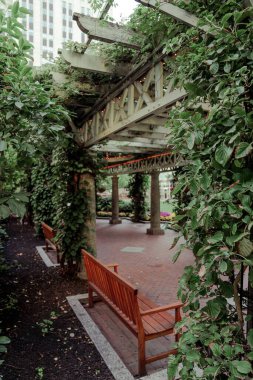 Boston 'da çalılar ve banklarla dolu bir geçitin dikey çekimi.