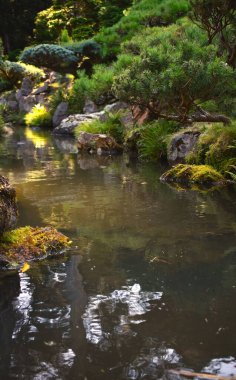 Japon Doğa Tarzı Etkilenen Park