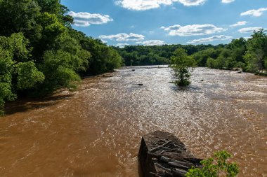 Arkasında yeşil ağaçlar olan kahverengi kirlenmiş bir göl. Su kirliliği kavramı.