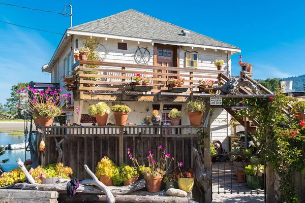 湖の山の家の典型的なアメリカのカリフォルニアのボリナス — ストック写真