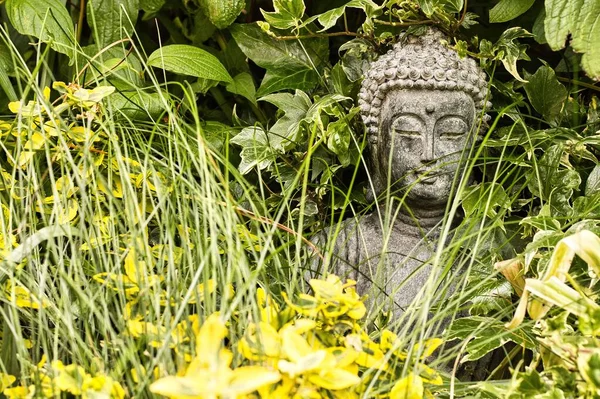 Крупним Планом Маленька Статуя Будди Захована Зеленому Листі — стокове фото
