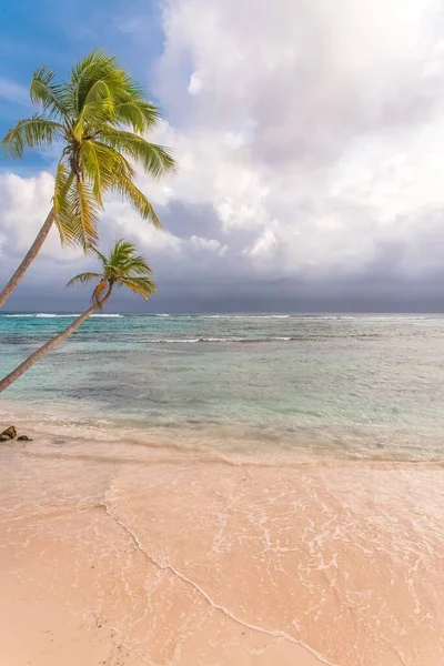 Pink Sand Beach Wave Flow Ebb Sea Guadeloupe — Stock Photo, Image