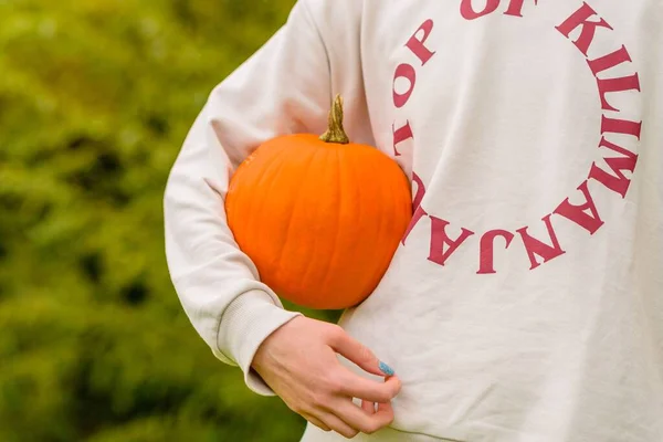 Primer Plano Una Persona Suéter Sosteniendo Una Calabaza Naranja —  Fotos de Stock