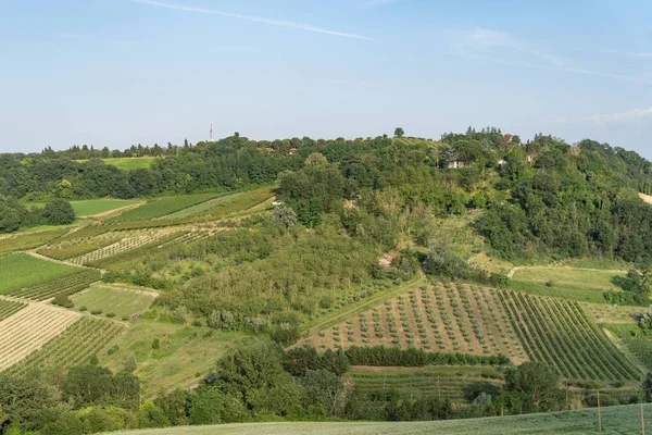 Una Vista Panorámica Campo Agrícola Emilia Romaña Italia — Foto de Stock