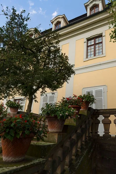 Eine Vertikale Aufnahme Des Wunderschönen Gartens Vor Dem Schloss Monrepos — Stockfoto