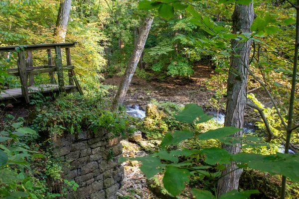 Pohled Starý Dřevěný Most Turistickou Stezku Zeleném Svěžím Tropickém Lese — Stock fotografie