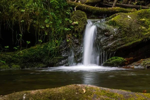 Una Cascata Nella Foresta — Foto Stock