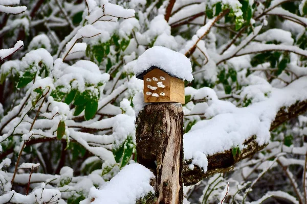 Zednářský Včelí Dům Pokrytý Sněhem — Stock fotografie