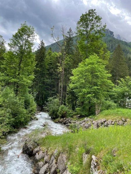 Berchtesgaden Deki Doğa Bavyera Lkbaharı Başladı — Stok fotoğraf