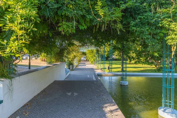 Jardim Público Das Vendas Novas Distrito Évora Portugal — Fotografia de Stock