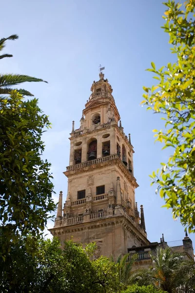 Bezienswaardigheid Van Cordoba Spanje Toren Van Grote Moskee Van Cordoba — Stockfoto