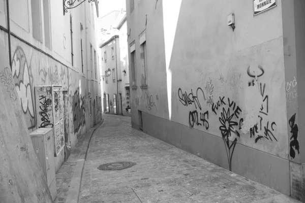 Skala Szarości Wąskich Uliczek Sztuką Graffiti Tekstami Ścianach Fasady — Zdjęcie stockowe