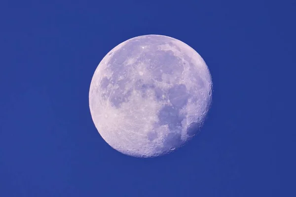 Phase of the white moon in daytime.