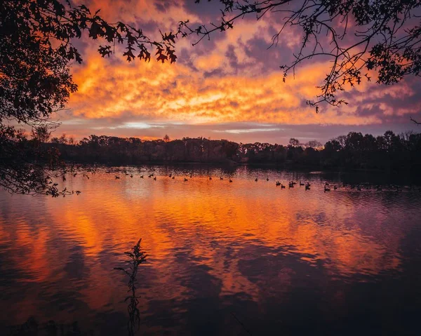 Sonbaharda Göl Ormanın Üzerinde Gün Batımı Destansı Kızıl Gökyüzü Dramatik — Stok fotoğraf