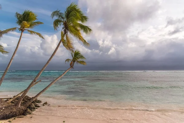 Guadeloupe Beautiful Panorama Pink Sand Beach Marie Galante Island Sunset — Stock Photo, Image