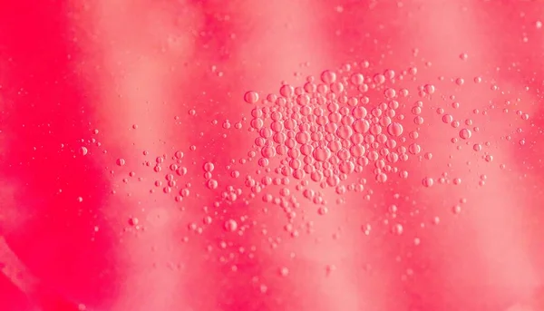 small drops of oil in water on redbackground. macro photo