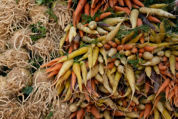 Pile Carrots Celeriac Food Market Fresh Produce — Stock Photo, Image