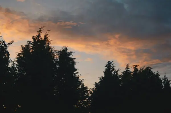 Солнце Начинает Освещать Облака Оранжевым Цветом Силуэтами Кипарисов — стоковое фото