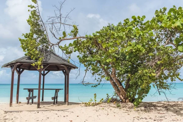 Guadeloupe Schöner Rosafarbener Sandstrand Auf Der Insel Maria Galante Holzunterstand — Stockfoto
