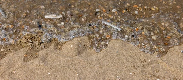 모래가 해안으로 밀려온 조개와 해초로 파노라마 모양의 폭풍의 파도에 올라왔다 — 스톡 사진