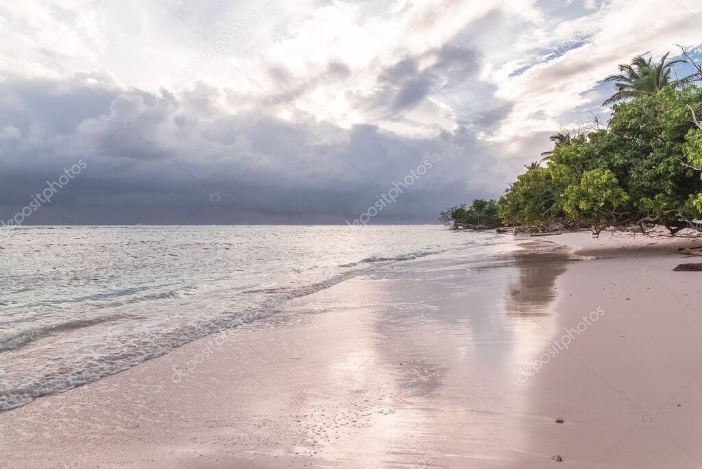 Pink sand beach, wave, flow and ebb of the sea in Guadeloupe