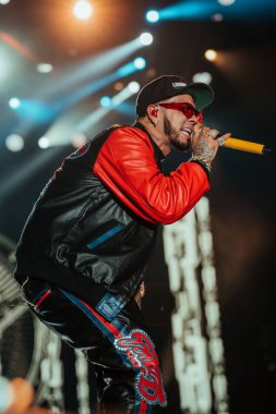 Rapçi Anuel 'in Miami, ABD' deki bir festivalde sahne aldığı dikey bir çekim.