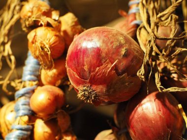 Olgunlaşmış soğanların yakın çekimi.