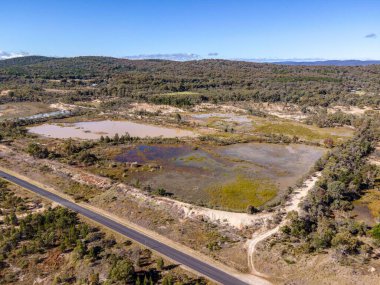 Avustralya 'daki Emmaville şehrinin gökyüzünün altındaki ağaçlarla çevrili bir hava manzarası.
