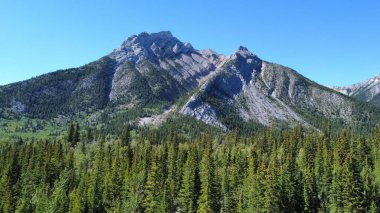 Güneşli bir günde güzel bir dağ manzarası ve bir orman.