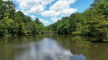 Ormanın ortasında bir gölet