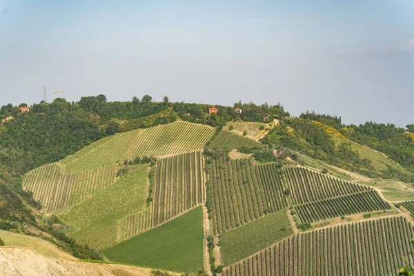 Malebný Pohled Zemědělské Pole Emilia Romagna Itálie — Stock fotografie