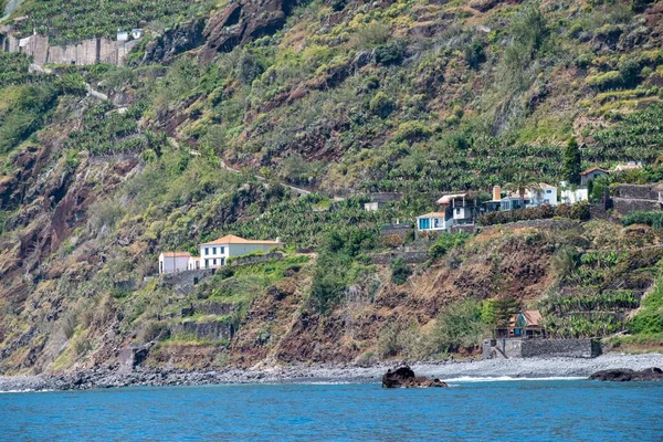 Vacker Utsikt Över Madeiras Kust Calheta Portugal — Stockfoto