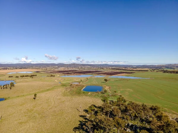 Naturskön Utsikt Över Åkrar Och Damm Solig Dag Australien — Stockfoto