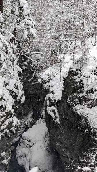 Vertikální Záběr Zasněžené Rokle Zimě — Stock fotografie