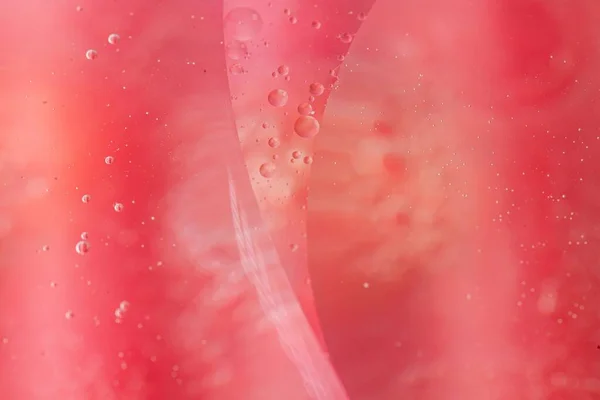 small drops of oil in water on redbackground. macro photo