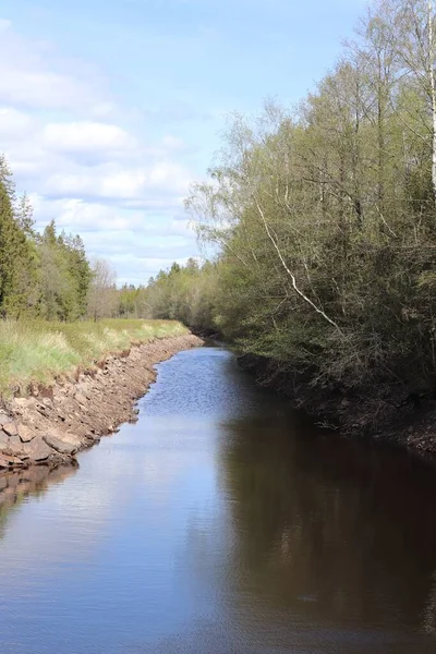 Vertical View River Running Trees Blue Sky — Stock Photo, Image