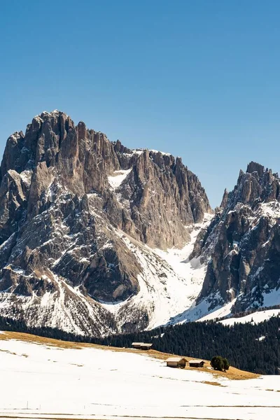 Vertikal Bild Den Snöiga Seiser Alm Alpe Siusi Platån — Stockfoto